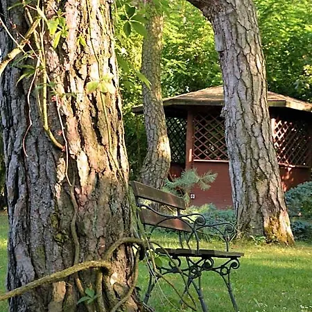 Lesny Dworek Gasthuis Wyszków