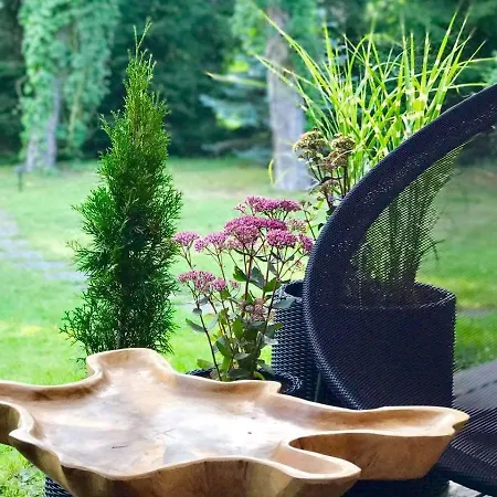 Lesny Dworek Gasthof Wyszków