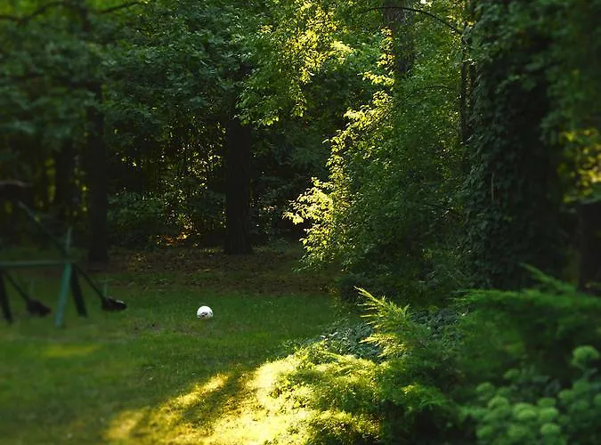 Lesny Dworek Guest house