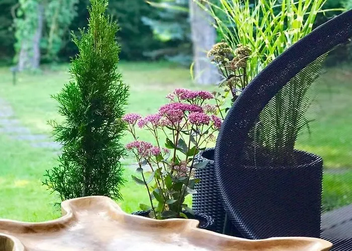 Lesny Dworek Guest house Wyszkow